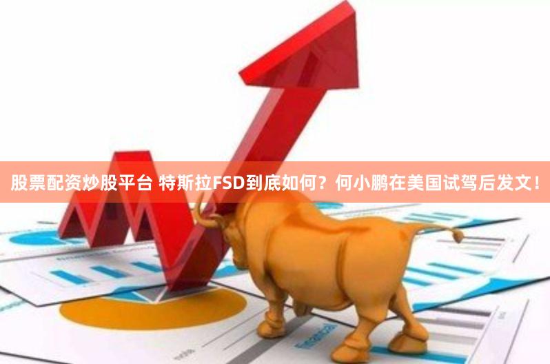 股票配资炒股平台 特斯拉FSD到底如何？何小鹏在美国试驾后发文！