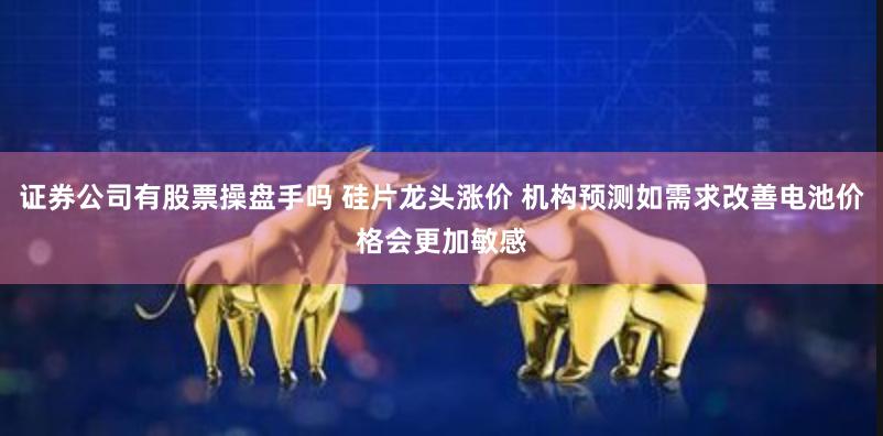 证券公司有股票操盘手吗 硅片龙头涨价 机构预测如需求改善电池价格会更加敏感