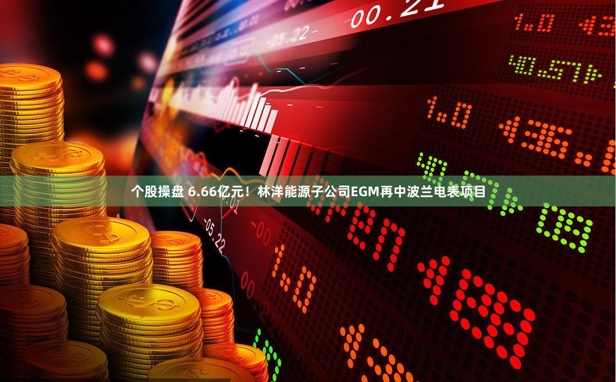 个股操盘 6.66亿元！林洋能源子公司EGM再中波兰电表项目