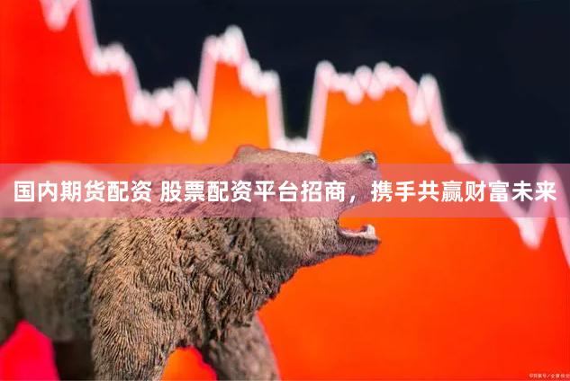 国内期货配资 股票配资平台招商，携手共赢财富未来